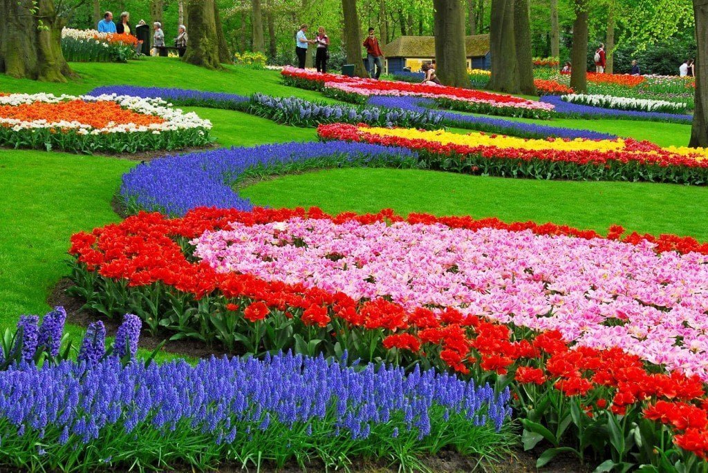 حديقة كيوكينهوف أجمل حديقة في العالم 24