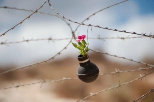 used-tear-gas-canisters-become-a-living-garden-in-poignant-west-bank-shrine