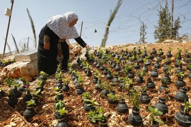 حياة تهزم المأساة : حديقة قنابل الغاز في قرية بلعين بالضفة الغربية ! 2