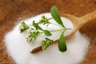 لمرضى السكر وراغبي التخسيس نبات ستيفيا Stevia السكرية مجلة رؤى