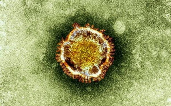 فيروس كورونا الشرق الأوسط : الأعراض - الوقاية - العلاج 6