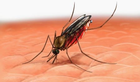مناعة الأطفال تساعد في اكتشاف لقاح جديد للملاريا