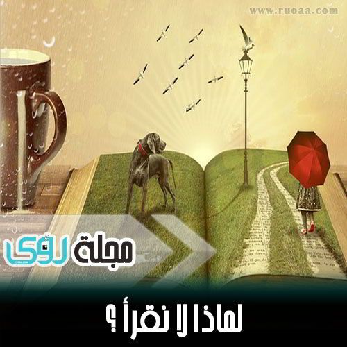 لماذا لا نقرأ ؟ 4