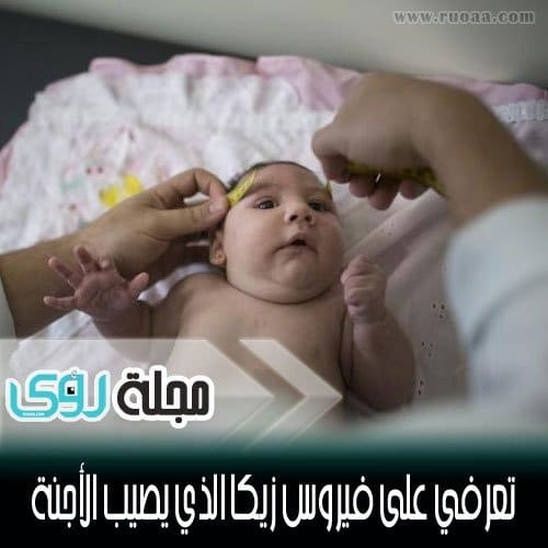 تعرف على فيروس زيكا Zika Virus وكيف تقي نفسك منه