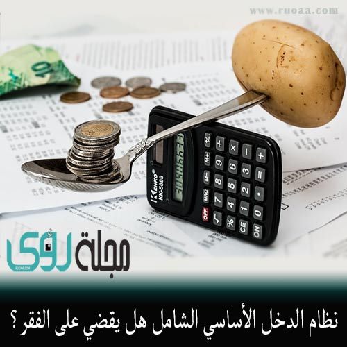 الدخل الأساسي الشامل (UBI: يو بي آي) هل يمحو الفقر من العالم؟ 14