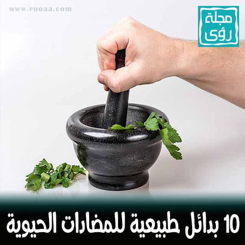 بدائل طبيعية للمضادات الحيوية