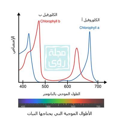 اعلى امتصاص للضوء من النيات يحدث ضمن نطاق الضوء الأحمر و الأزرق