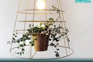 grow-plants-without-sunlight