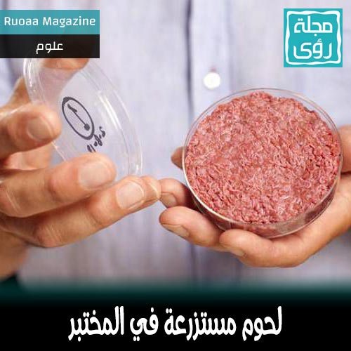 لحوم مستزرعة في المختبر ربما تنقذ العالم 4