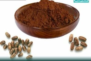 date-seeds-powder