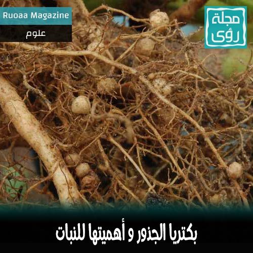 بكتريا الجذور صديقة النبات - ترجمة إبراهيم العلو
