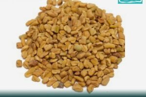 fenugreek seeds benefits