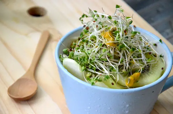 broccoli-sprouts