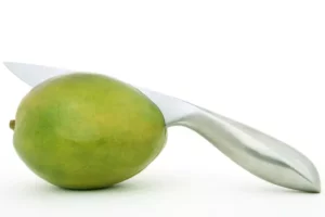 ruoaa_mango-fruit