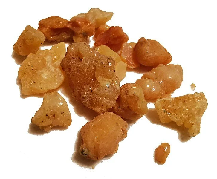 ما هو الحلتيت وما استخداماته ولِمَ سمي روث الشيطان؟ والحلتيت Asafoetida