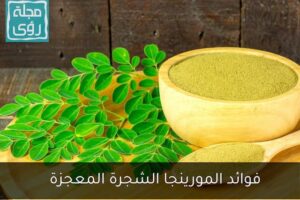 moringa-tree-benefits