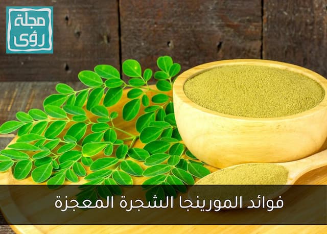 فوائد شجرة المورينجا Moringa Oleifera 14