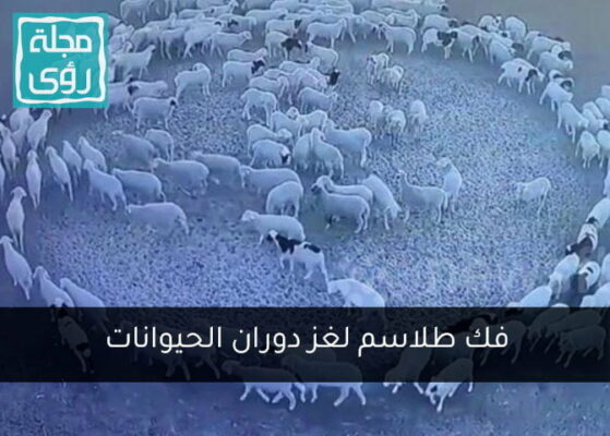 فك طلاسم ظاهرة دوران الحيوانات ؟