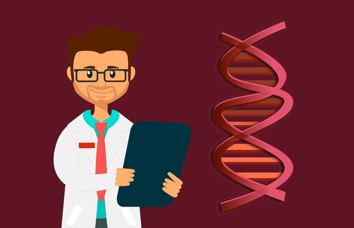 Top 8 DNA tests: Discover your family tree and health issues 2 DNA test
