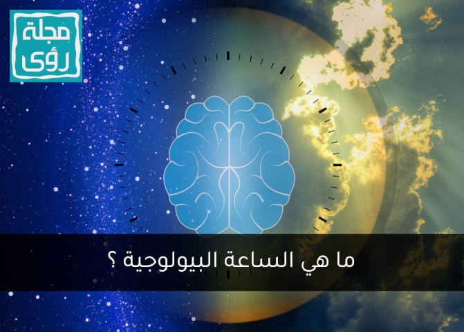 ما هي الساعة البيولوجية وما أهميتها ؟ 5