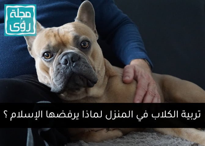 تربية الكلاب في المنزل