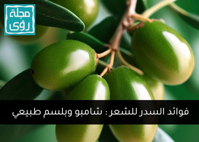 فوائد السدر للشعر: شامبو وبلسم طبيعي !