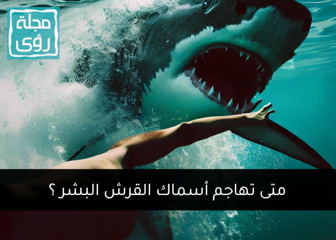 متى تهاجم أسماك القرش البشر